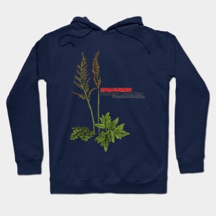 Endangered Northern Grape Fern Hoodie